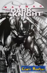 Batman: The Dark Knight (Variant Cover-Edition B)