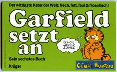 Garfield setzt an - Sein sechstes Buch