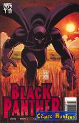 Who is the Black Panther? Part One