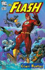 The Flash (2000s Variant Cover-Edition)