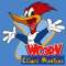 Woody Woodpecker 16