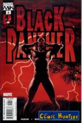 Who is the Black Panther? Part Six