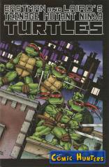 Teenage Mutant Ninja Turtles Color Special