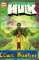 small comic cover Der unglaubliche Hulk 4
