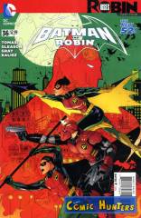 Robin Rises, Part Four: Chaos